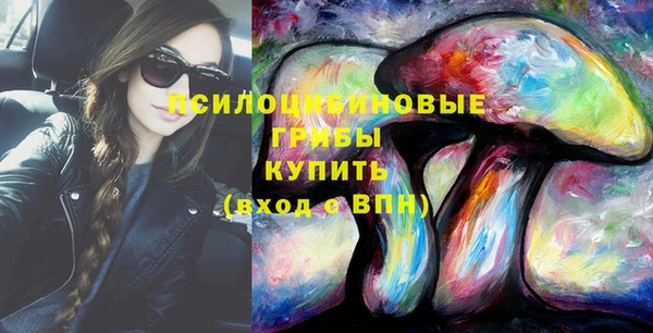 гашик Алзамай