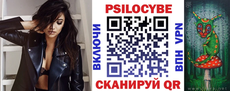 купить закладку Звенигород Галлюциногенные грибы мицелий